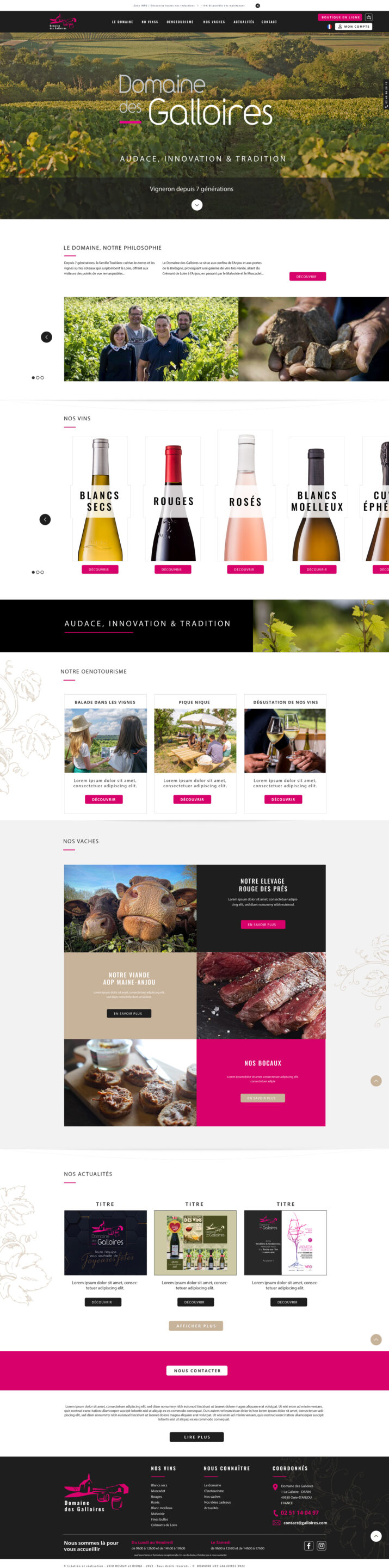 Site web