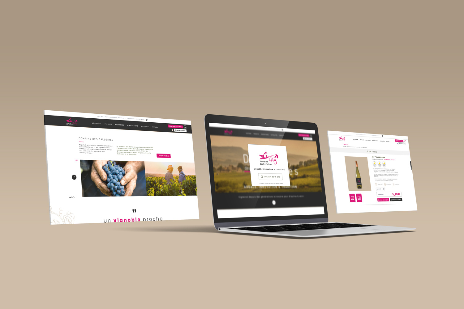 Site web